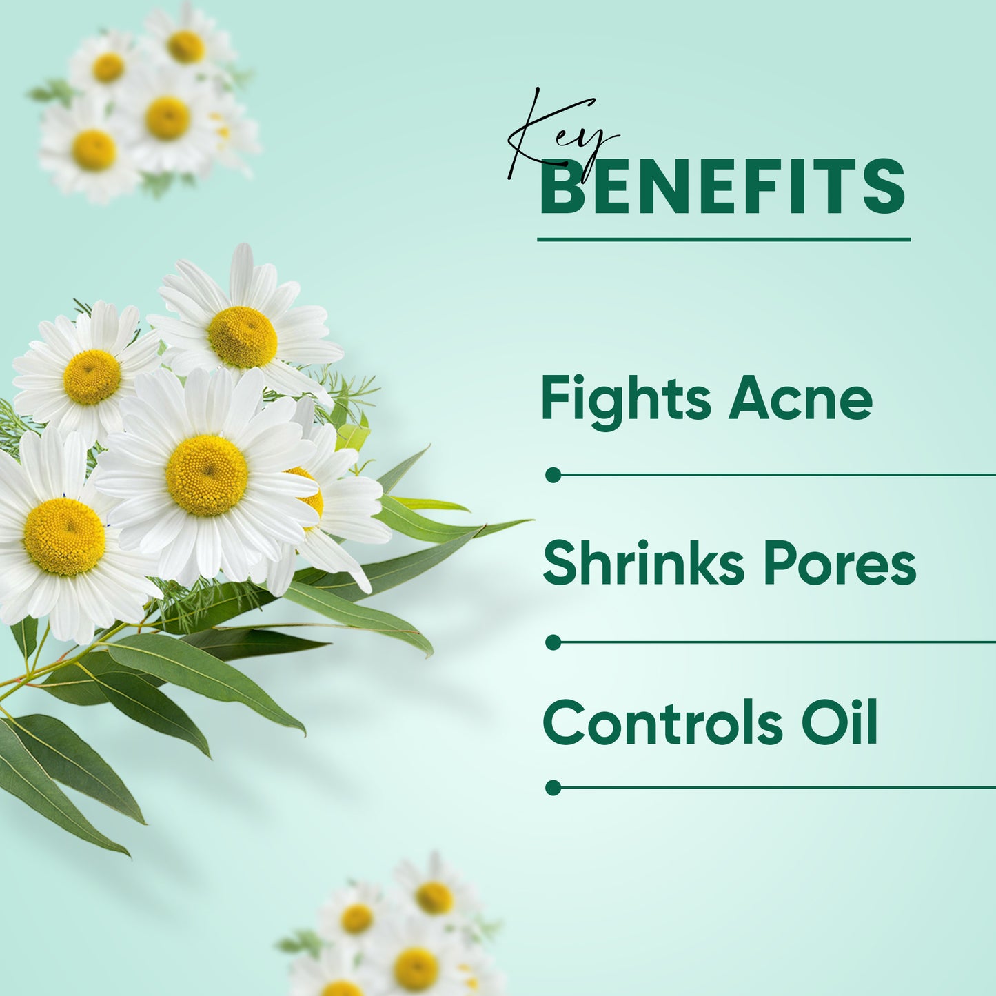 Acne Oil Control Cleansing Foam